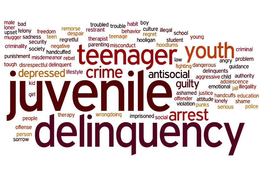 juvenile criminal records
