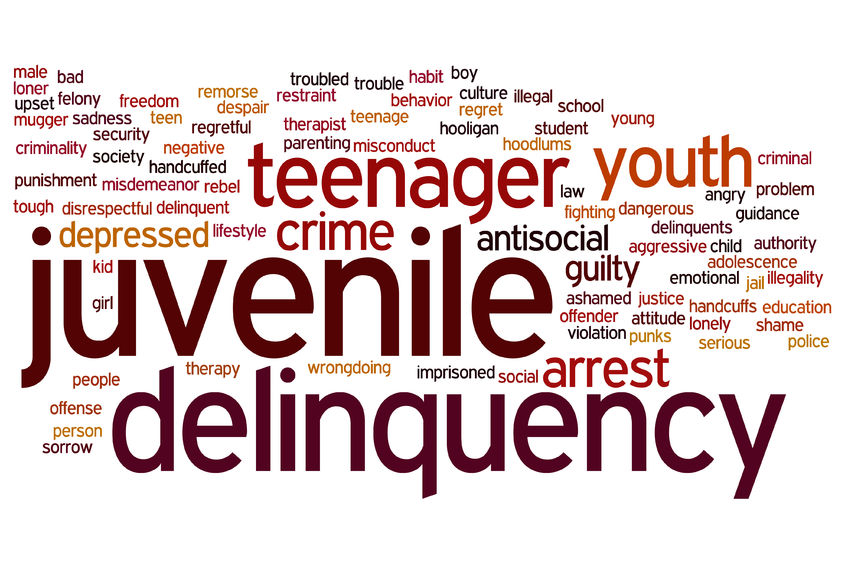 juvenile criminal records